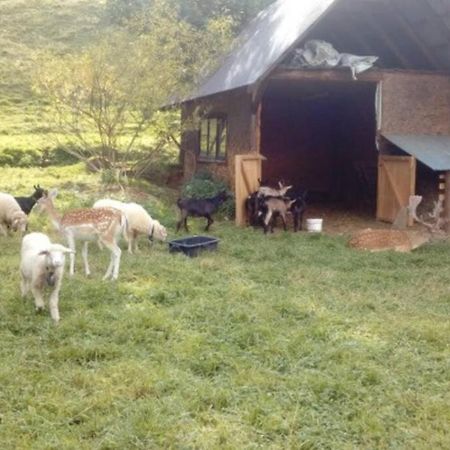 Gospodarstwo Agroturystyczne U Nos Apartament Bioly Ratulow Kültér fotó